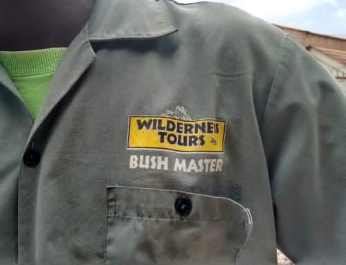 Wilderness ATV Tours | The Off-Road Experience