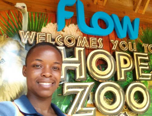 The Biggest Zoo in Jamaica | Hope Zoo St. Andrew Jamaica